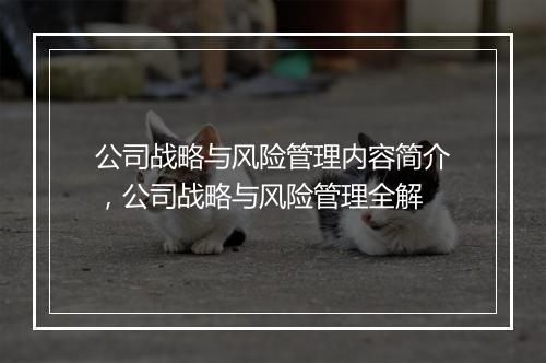 公司战略与风险管理内容简介，公司战略与风险管理全解