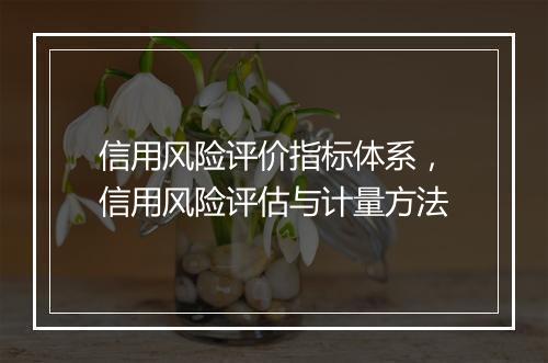 信用风险评价指标体系，信用风险评估与计量方法