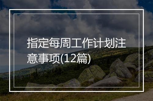 指定每周工作计划注意事项(12篇)