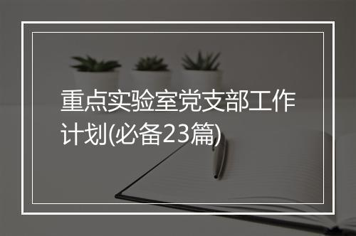 重点实验室党支部工作计划(必备23篇)