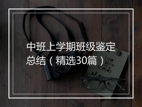 中班上学期班级鉴定总结（精选30篇）