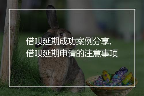 借呗延期成功案例分享,借呗延期申请的注意事项