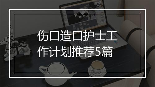 伤口造口护士工作计划推荐5篇