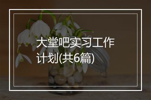 大堂吧实习工作计划(共6篇)