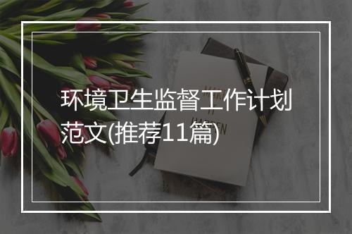 环境卫生监督工作计划范文(推荐11篇)