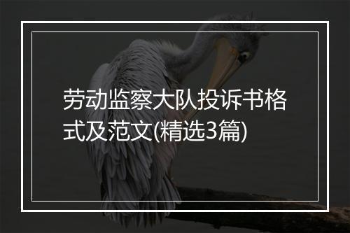 劳动监察大队投诉书格式及范文(精选3篇)