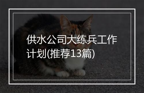 供水公司大练兵工作计划(推荐13篇)