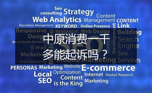 中原消费一千多能起诉吗？
