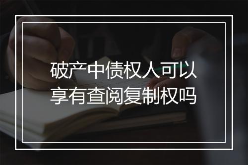 破产中债权人可以享有查阅复制权吗