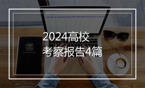 2024高校考察报告4篇