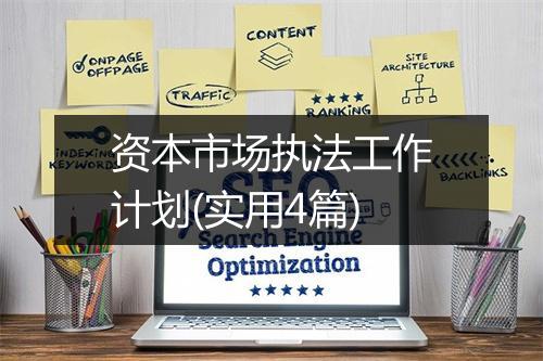 资本市场执法工作计划(实用4篇)