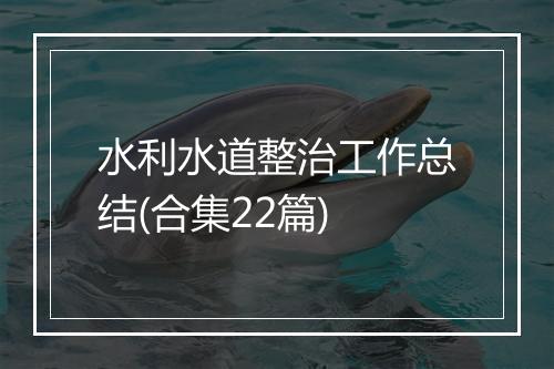 水利水道整治工作总结(合集22篇)