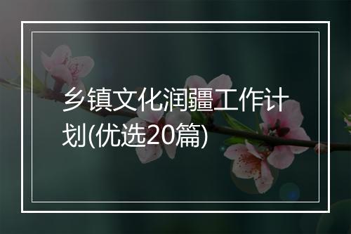 乡镇文化润疆工作计划(优选20篇)