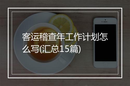 客运稽查年工作计划怎么写(汇总15篇)