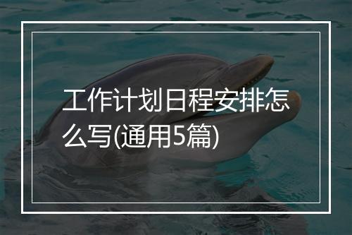 工作计划日程安排怎么写(通用5篇)