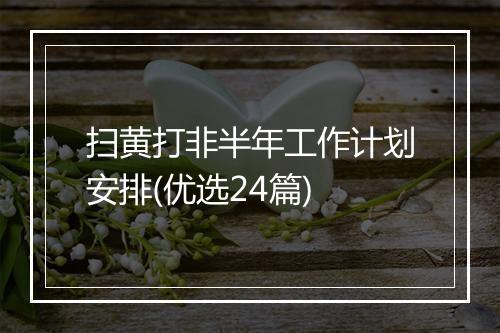 扫黄打非半年工作计划安排(优选24篇)