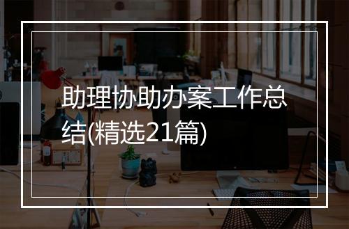 助理协助办案工作总结(精选21篇)