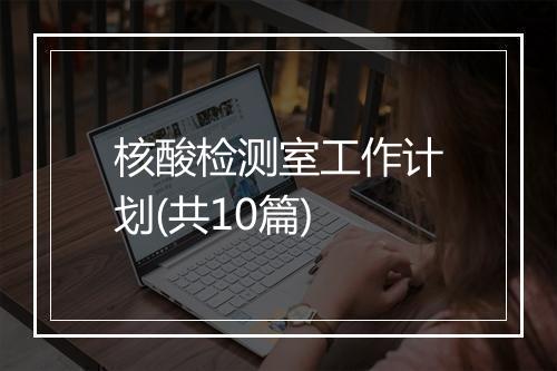 核酸检测室工作计划(共10篇)