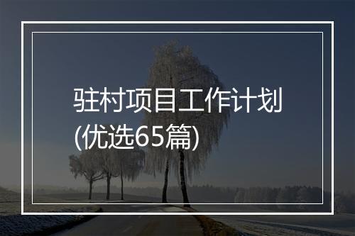 驻村项目工作计划(优选65篇)