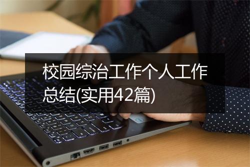 校园综治工作个人工作总结(实用42篇)