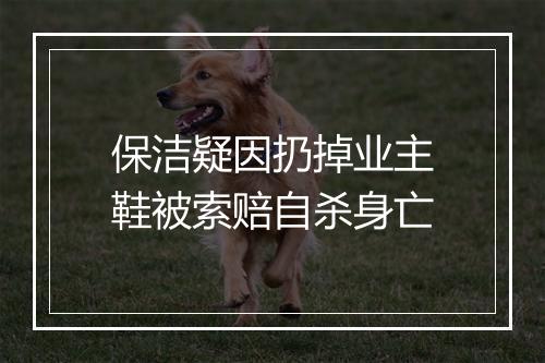 保洁疑因扔掉业主鞋被索赔自杀身亡