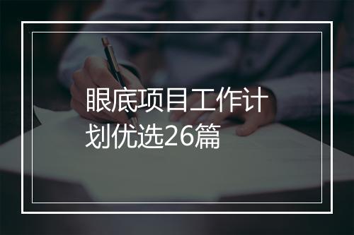 眼底项目工作计划优选26篇