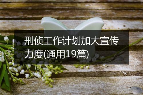 刑侦工作计划加大宣传力度(通用19篇)
