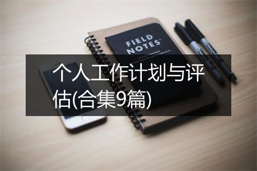 个人工作计划与评估(合集9篇)