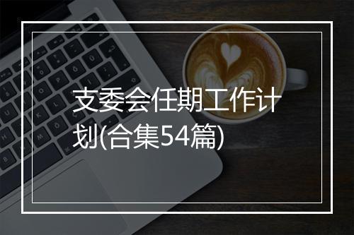 支委会任期工作计划(合集54篇)