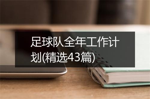 足球队全年工作计划(精选43篇)