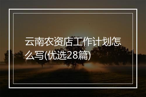 云南农资店工作计划怎么写(优选28篇)