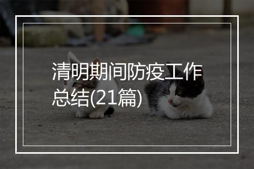 清明期间防疫工作总结(21篇)