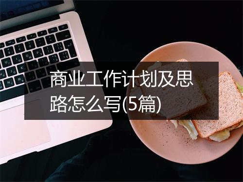商业工作计划及思路怎么写(5篇)