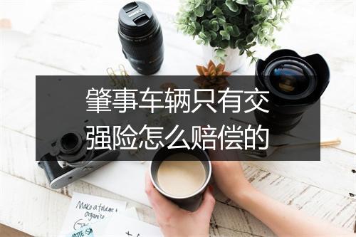 肇事车辆只有交强险怎么赔偿的