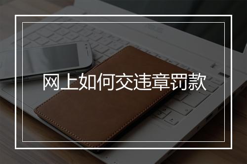 网上如何交违章罚款