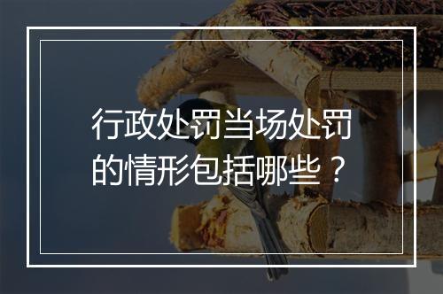 行政处罚当场处罚的情形包括哪些？