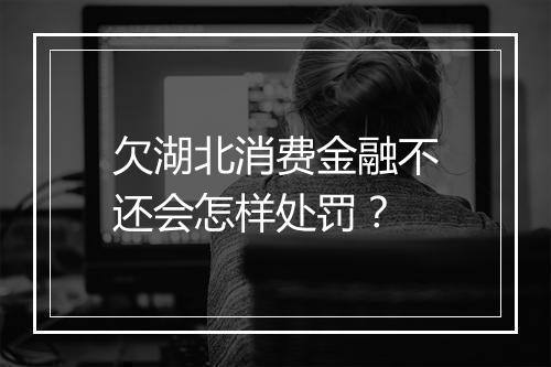 欠湖北消费金融不还会怎样处罚？