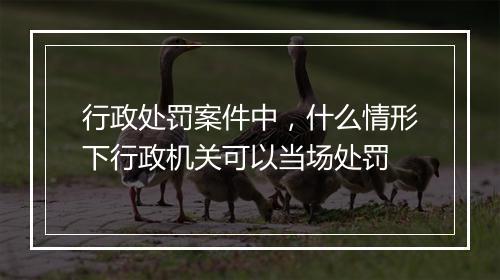 行政处罚案件中，什么情形下行政机关可以当场处罚