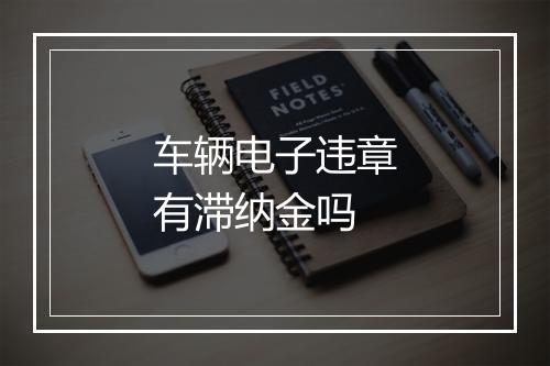 车辆电子违章有滞纳金吗