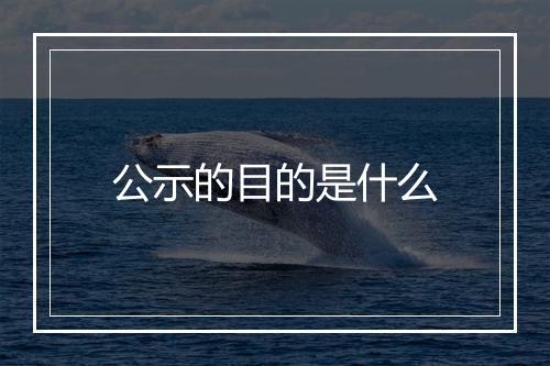 公示的目的是什么
