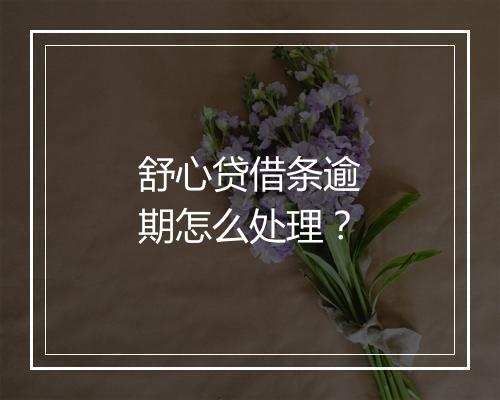 舒心贷借条逾期怎么处理？
