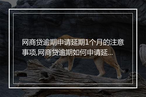 网商贷逾期申请延期1个月的注意事项,网商贷逾期如何申请延期