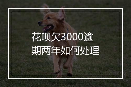 花呗欠3000逾期两年如何处理