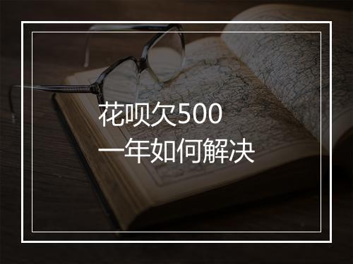花呗欠500一年如何解决