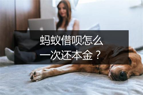 蚂蚁借呗怎么一次还本金？