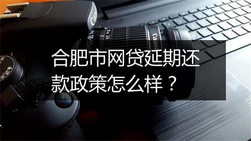 合肥市网贷延期还款政策怎么样？
