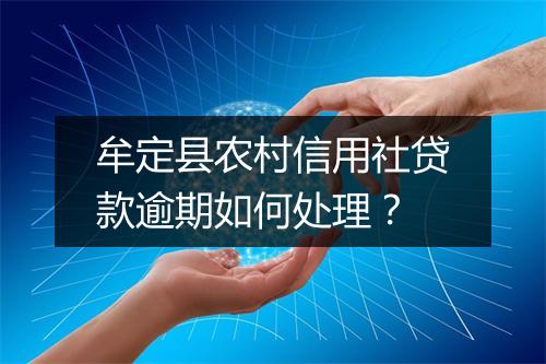 牟定县农村信用社贷款逾期如何处理？