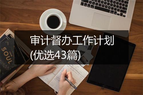 审计督办工作计划(优选43篇)