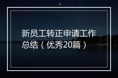 新员工转正申请工作总结（优秀20篇）
