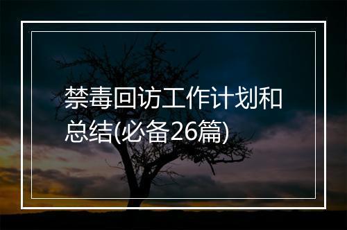 禁毒回访工作计划和总结(必备26篇)